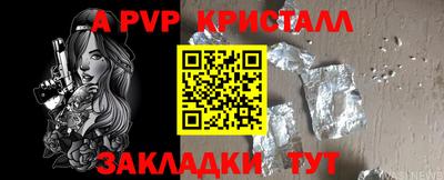 таблы Кингисепп