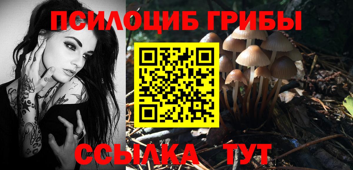 Тында  Галлюциногенные грибы GOLDEN TEACHER  Вход с VPN 